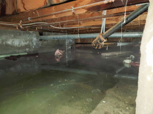 Best Emergency water damage restoration  in Rosemount, OH