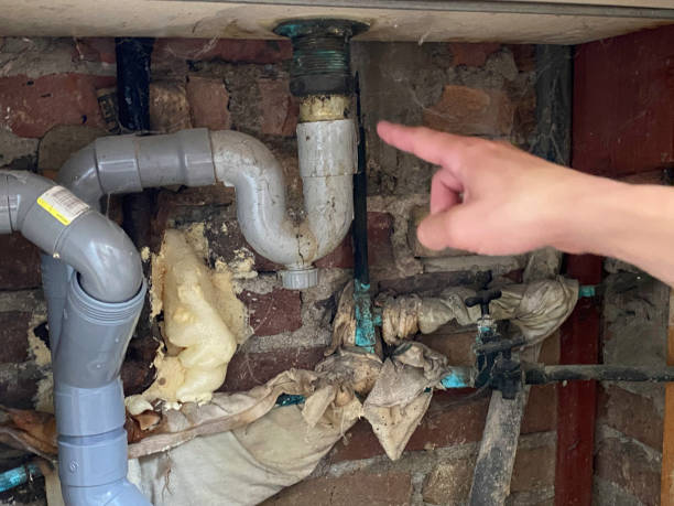 Best Basement water damage restoration  in Rosemount, OH