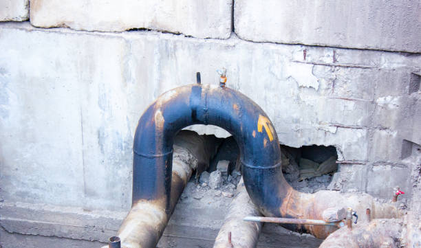 Best Mold removal after water damage  in Rosemount, OH